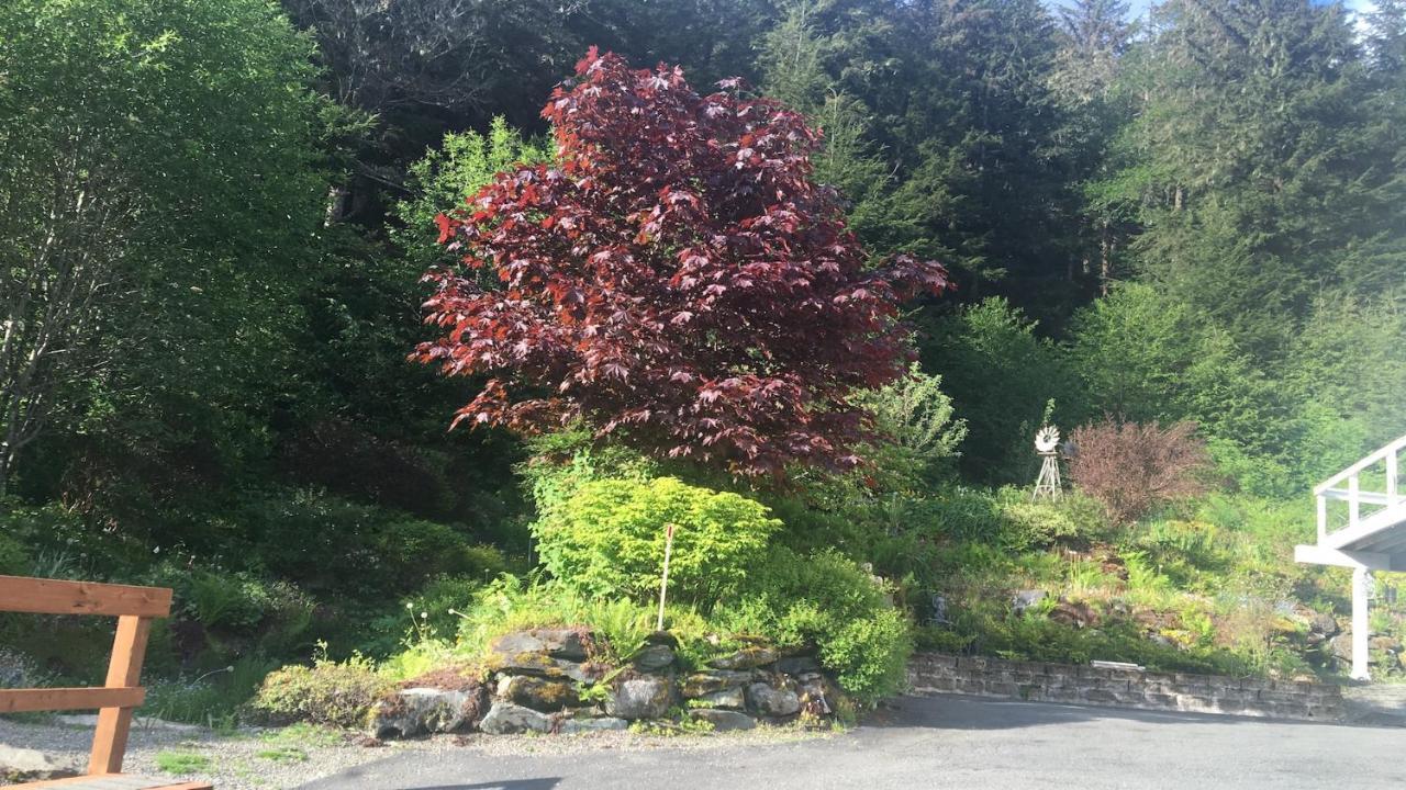 Kelli Creek Cottage - Reduced Price On Tours Juneau Eksteriør bilde