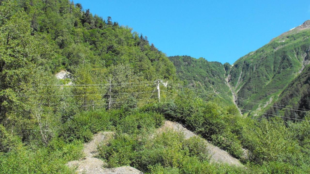 Kelli Creek Cottage - Reduced Price On Tours Juneau Eksteriør bilde