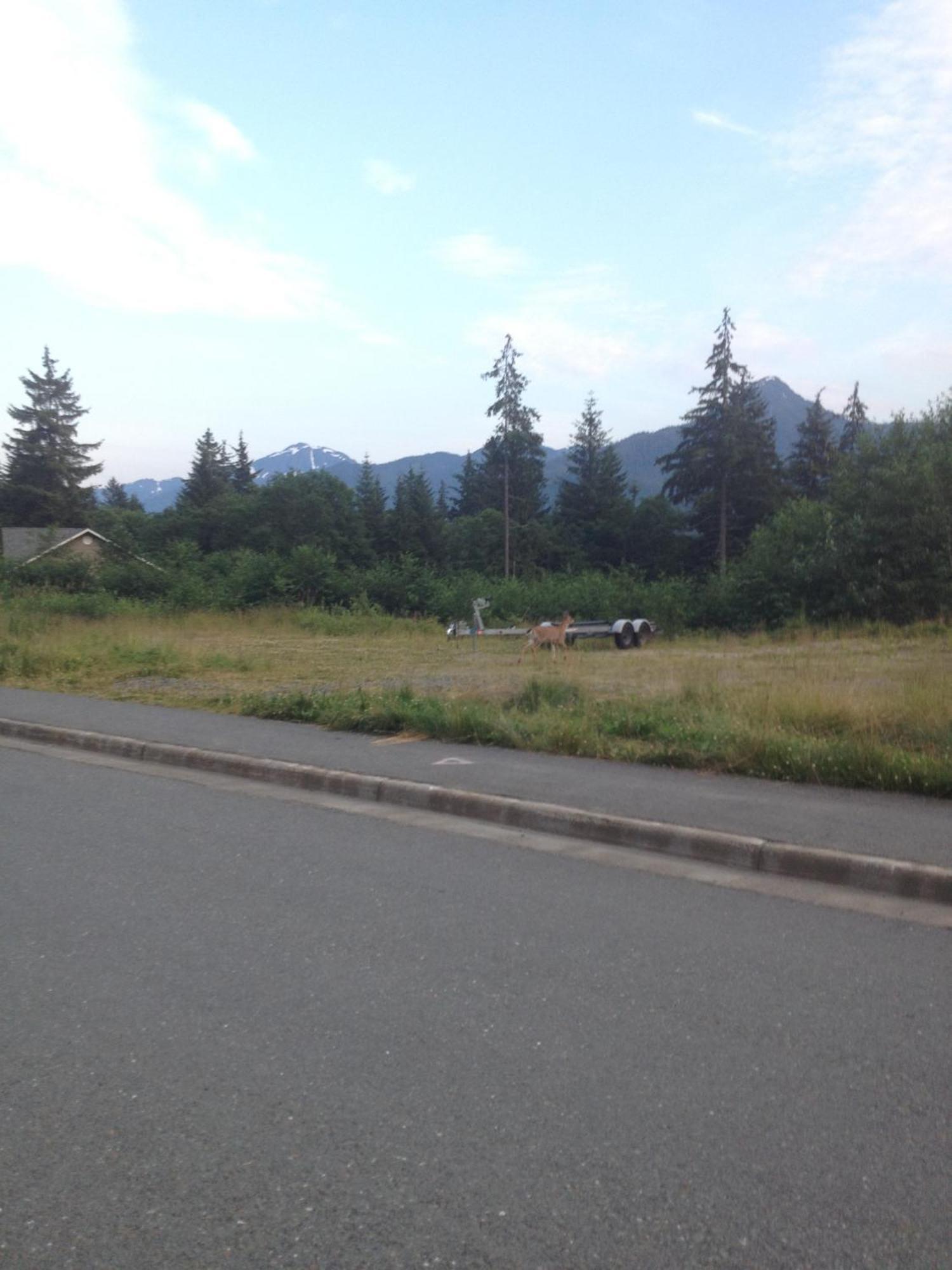 Kelli Creek Cottage - Reduced Price On Tours Juneau Eksteriør bilde